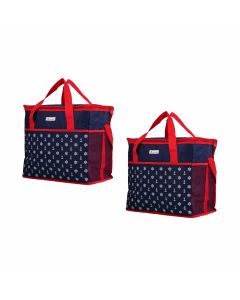 Kit 2 Bolsas Térmicas 5L: Frescor e Estilo para Todas as Ocasiões - co10011
