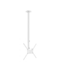 Suporte de Teto com Giro e Inclinação para TV 19″ a 56″ Branco SKY31-BR Multivisão