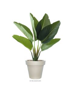 Vaso Redondo 37cm Plantas Essencial Polietileno Cimento JVREC37