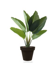 Vaso Redondo 37cm Plantas Essencial Polietileno Café JVREK37