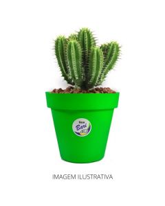 Vaso Redondo 12 cm para Jardim Bari Verde VB12VD